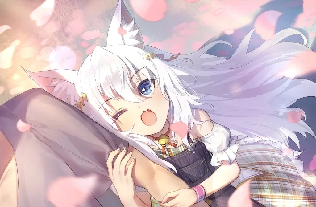 基于 Node.js 的网站安全测试工具